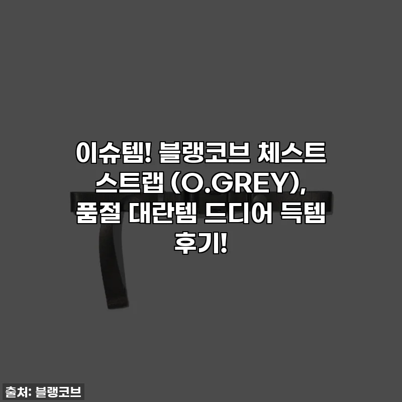 이슈템! 블랭코브 체스트 스트랩 (O.GREY), 품절 대란템 드디어 득템 후기!