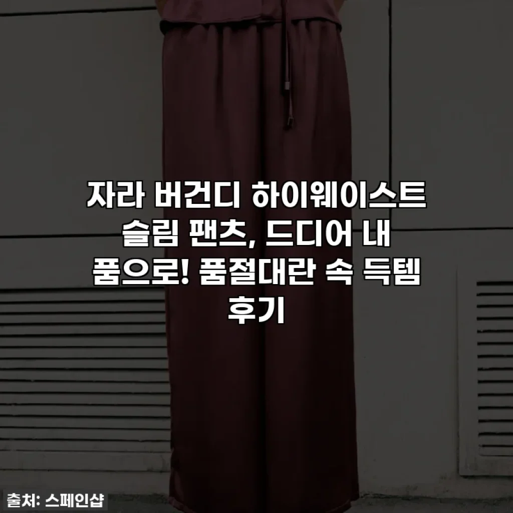자라 버건디 하이웨이스트 슬림 팬츠, 드디어 내 품으로! 품절대란 속 득템 후기