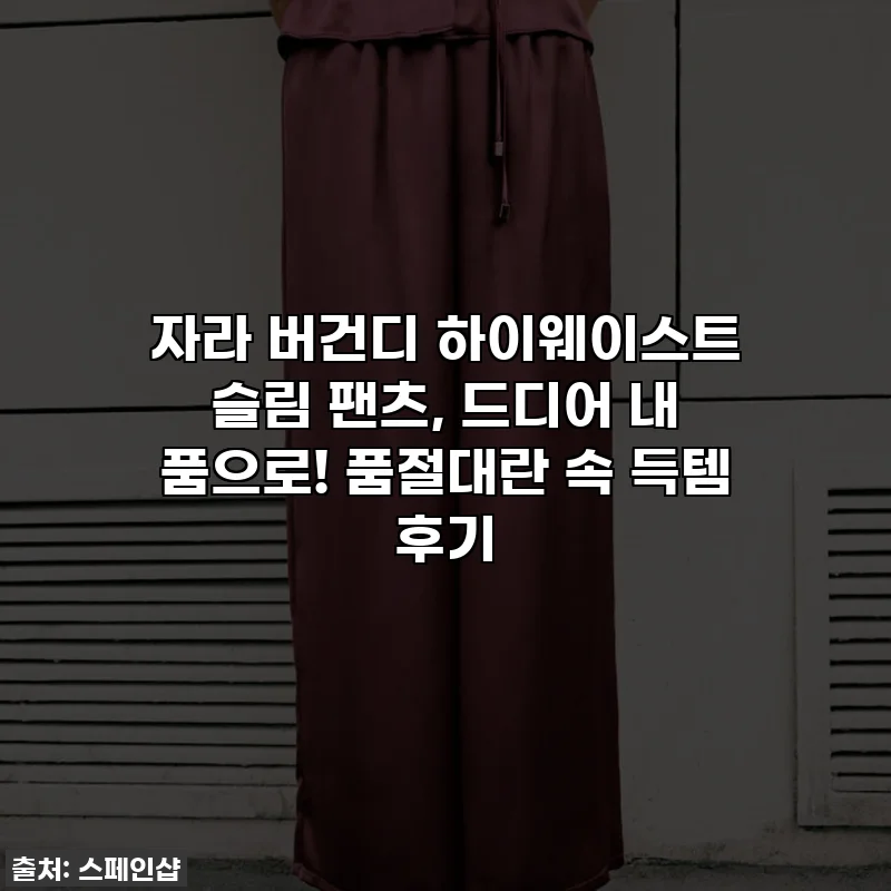 자라 버건디 하이웨이스트 슬림 팬츠, 드디어 내 품으로! 품절대란 속 득템 후기