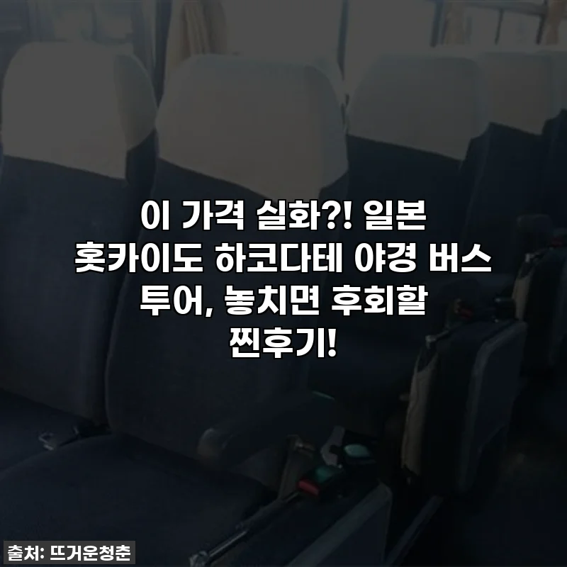 이 가격 실화?! 일본 홋카이도 하코다테 야경 버스 투어, 놓치면 후회할 찐후기!