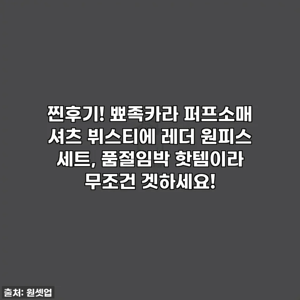 찐후기! 뾰족카라 퍼프소매 셔츠 뷔스티에 레더 원피스 세트, 품절임박 핫템이라 무조건 겟하세요!