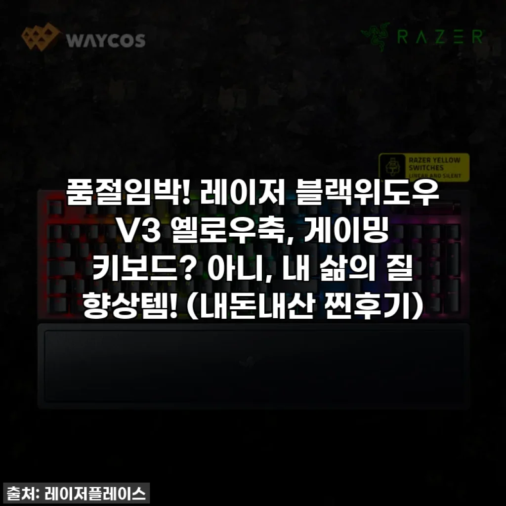 품절임박! 레이저 블랙위도우 V3 옐로우축, 게이밍 키보드? 아니, 내 삶의 질 향상템! (내돈내산 찐후기)