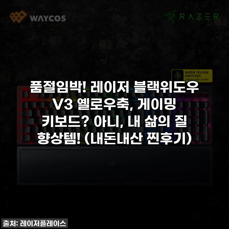 품절임박! 레이저 블랙위도우 V3 옐로우축, 게이밍 키보드? 아니, 내 삶의 질 향상템! (내돈내산 찐후기)