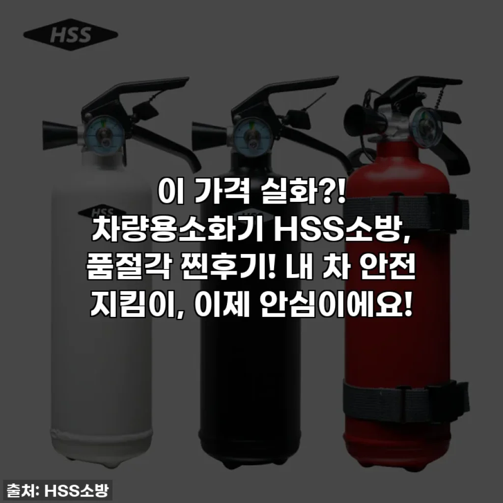 이 가격 실화?! 차량용소화기 HSS소방, 품절각 찐후기! 내 차 안전 지킴이, 이제 안심이에요!