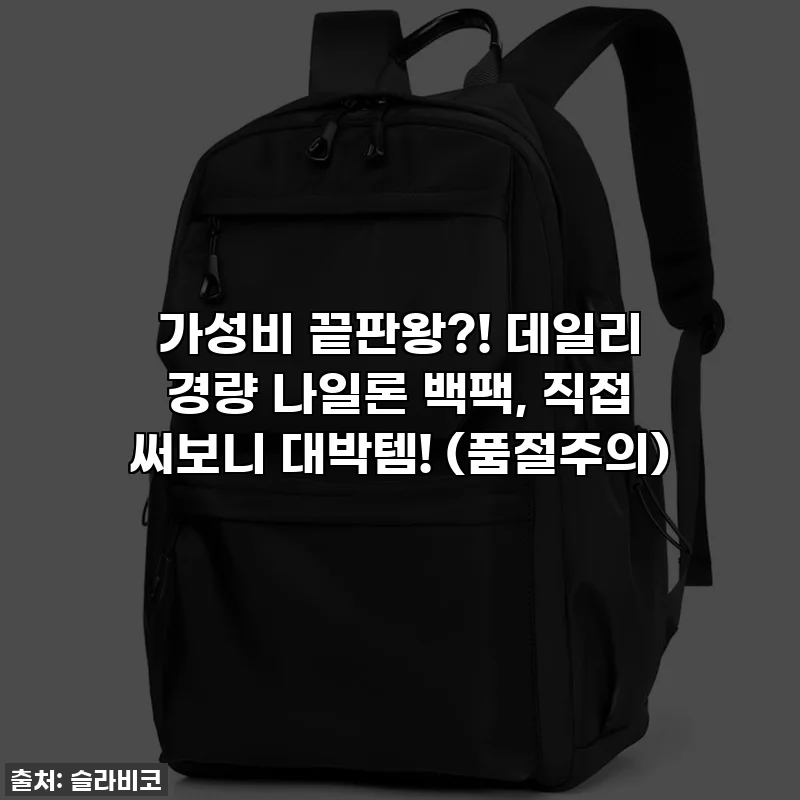 가성비 끝판왕?! 데일리 경량 나일론 백팩, 직접 써보니 대박템! (품절주의)
