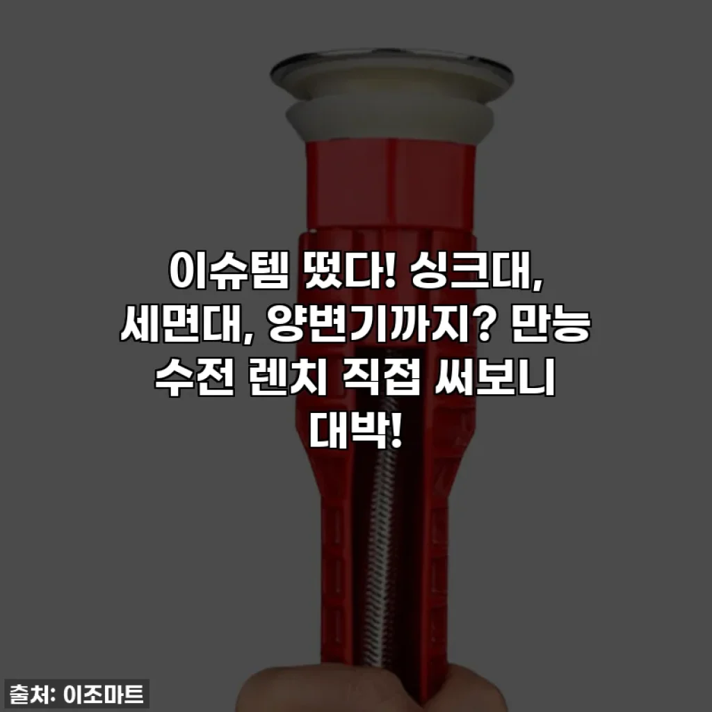 이슈템 떴다! 싱크대, 세면대, 양변기까지? 만능 수전 렌치 직접 써보니 대박!