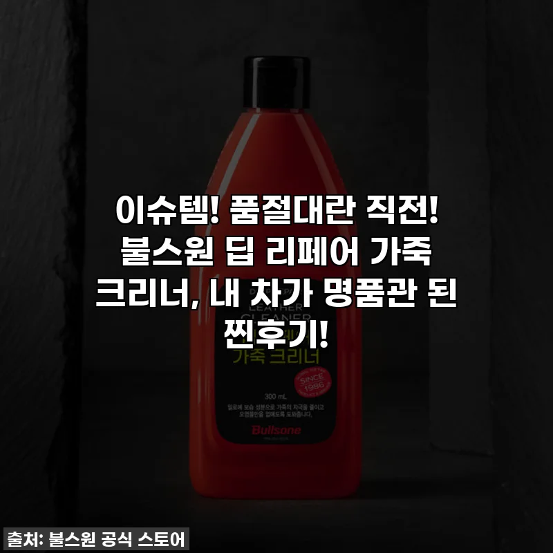 이슈템! 품절대란 직전! 불스원 딥 리페어 가죽 크리너, 내 차가 명품관 된 찐후기!