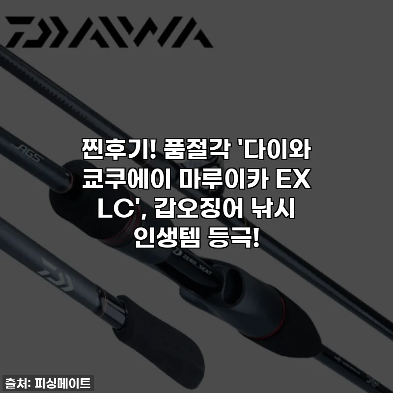 찐후기! 품절각 '다이와 쿄쿠에이 마루이카 EX LC', 갑오징어 낚시 인생템 등극!