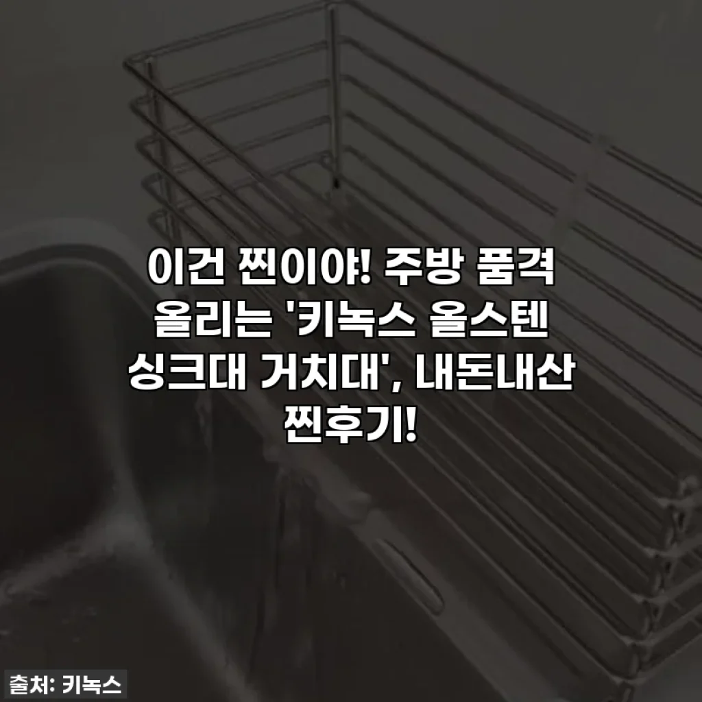 이건 찐이야! 주방 품격 올리는 '키녹스 올스텐 싱크대 거치대', 내돈내산 찐후기!