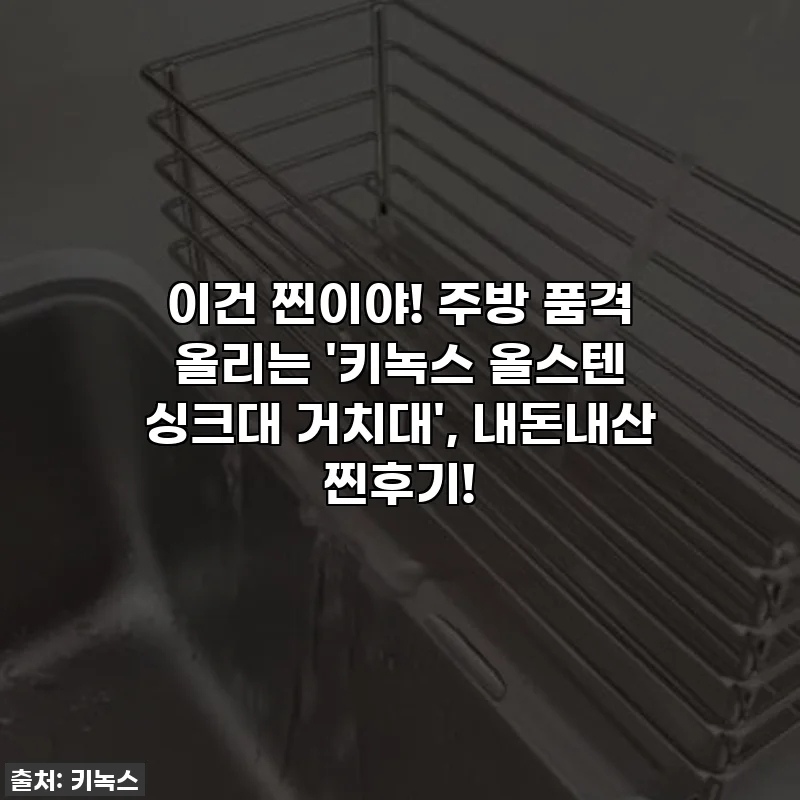 이건 찐이야! 주방 품격 올리는 '키녹스 올스텐 싱크대 거치대', 내돈내산 찐후기!