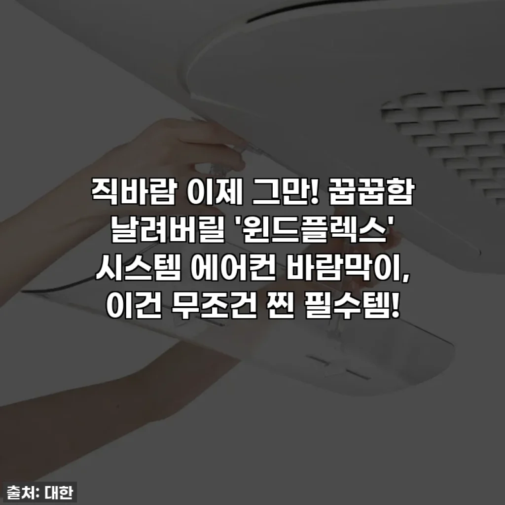 직바람 이제 그만! 꿉꿉함 날려버릴 '윈드플렉스' 시스템 에어컨 바람막이, 이건 무조건 찐 필수템!