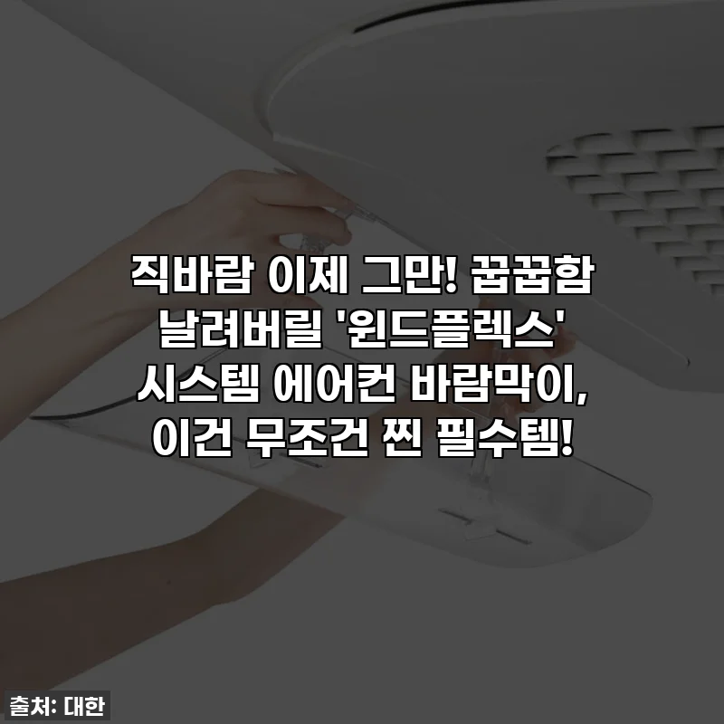 직바람 이제 그만! 꿉꿉함 날려버릴 '윈드플렉스' 시스템 에어컨 바람막이, 이건 무조건 찐 필수템!