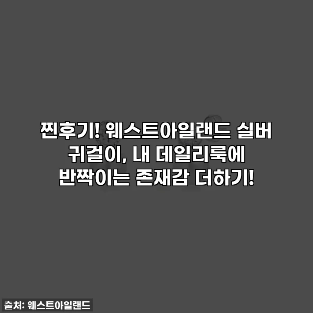 찐후기! 웨스트아일랜드 실버 귀걸이, 내 데일리룩에 반짝이는 존재감 더하기!