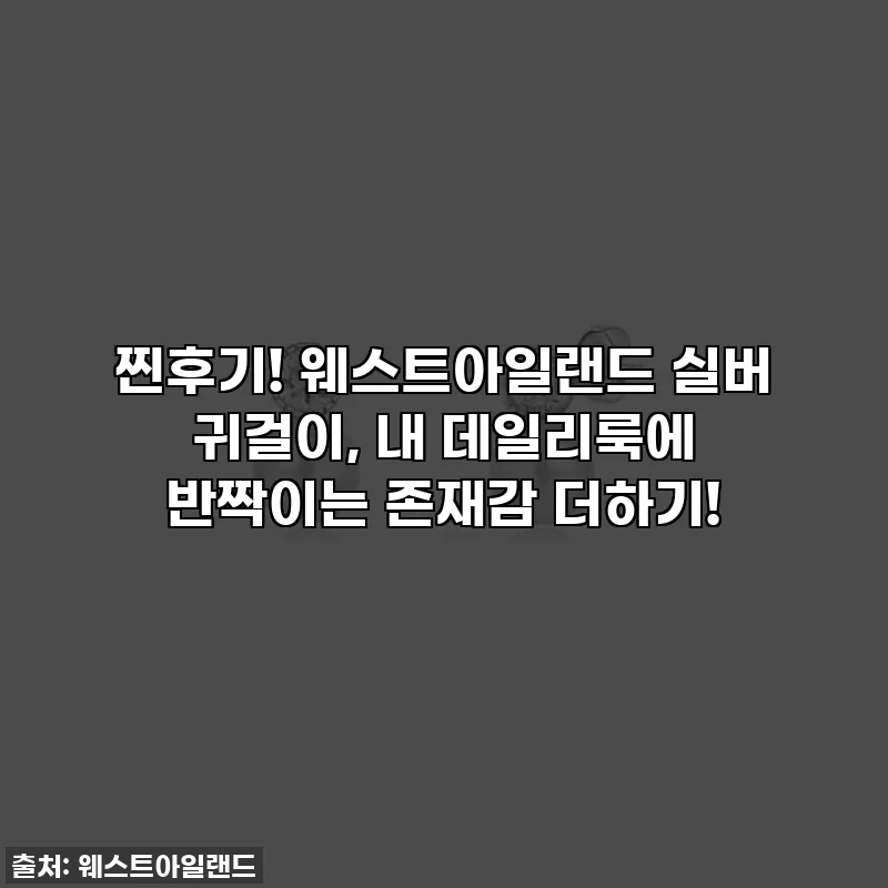 찐후기! 웨스트아일랜드 실버 귀걸이, 내 데일리룩에 반짝이는 존재감 더하기!