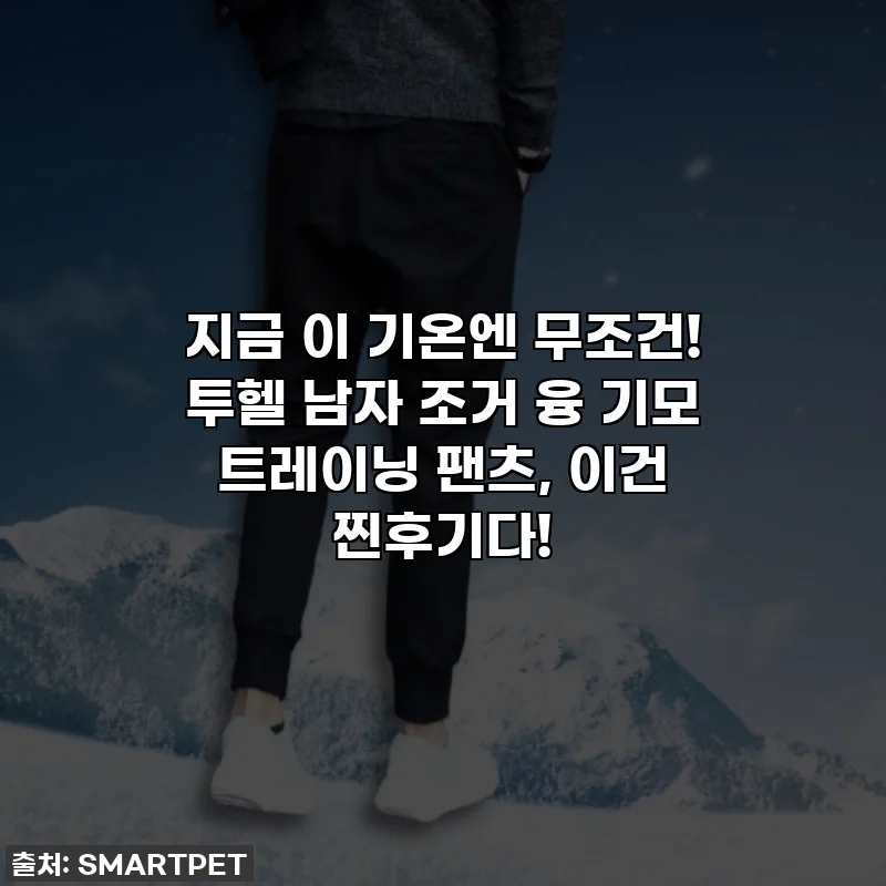 지금 이 기온엔 무조건! 투헬 남자 조거 융 기모 트레이닝 팬츠, 이건 찐후기다!