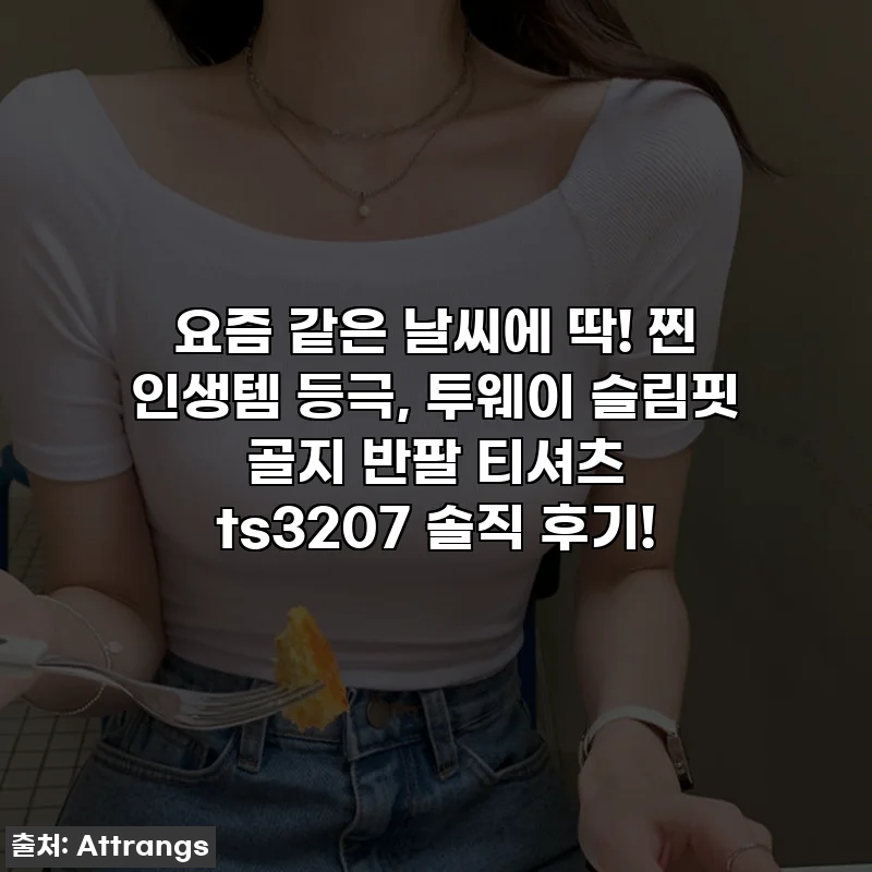 요즘 같은 날씨에 딱! 찐 인생템 등극, 투웨이 슬림핏 골지 반팔 티셔츠 ts3207 솔직 후기!