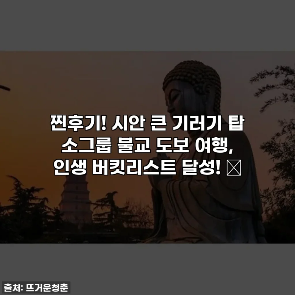 찐후기! 시안 큰 기러기 탑 소그룹 불교 도보 여행, 인생 버킷리스트 달성! ✨