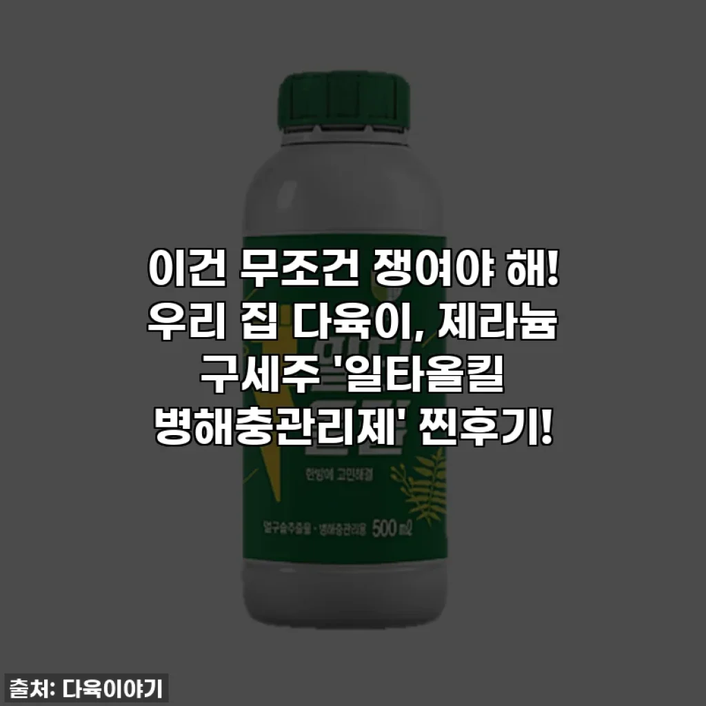 이건 무조건 쟁여야 해! 우리 집 다육이, 제라늄 구세주 '일타올킬 병해충관리제' 찐후기!