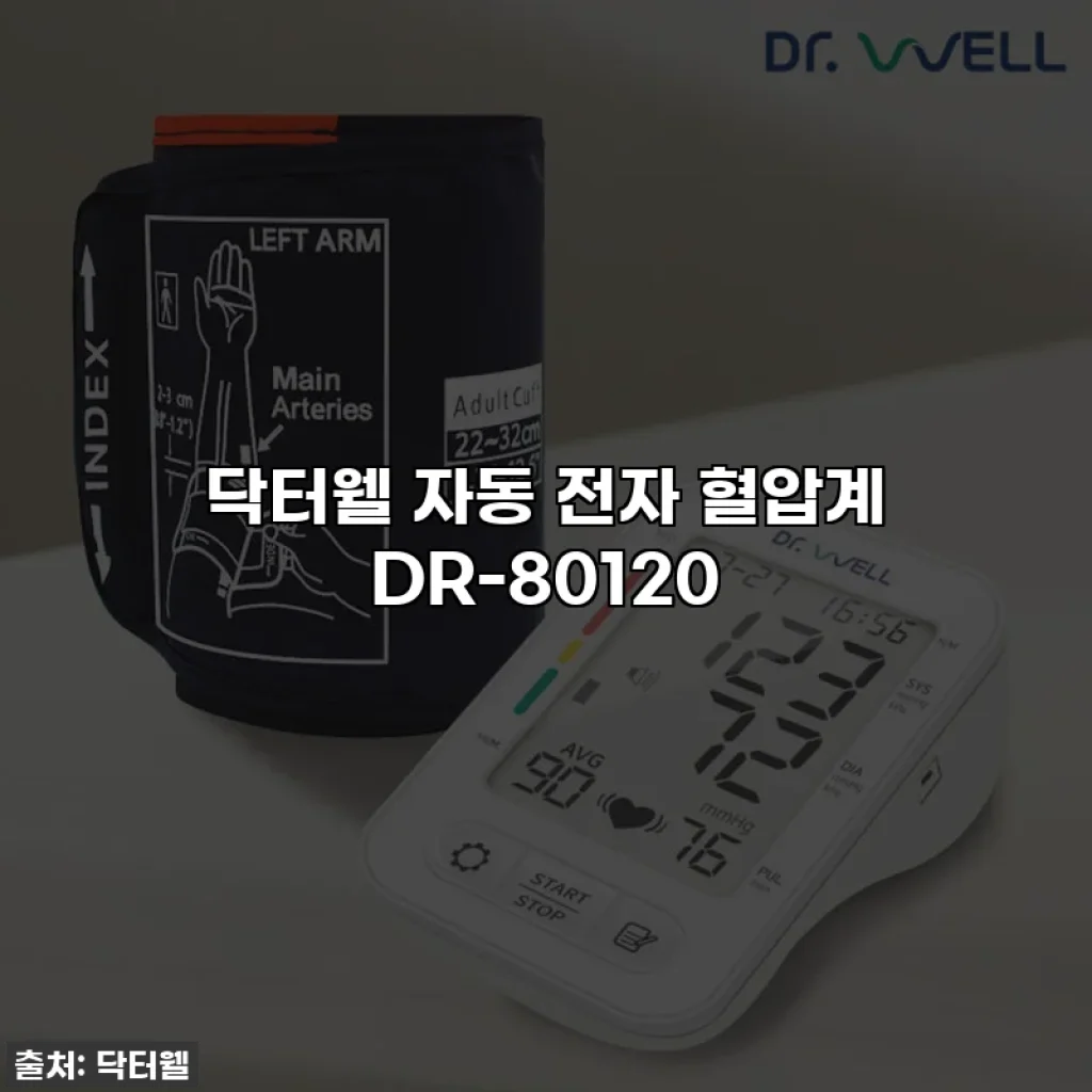 닥터웰 자동 전자 혈압계 DR-80120