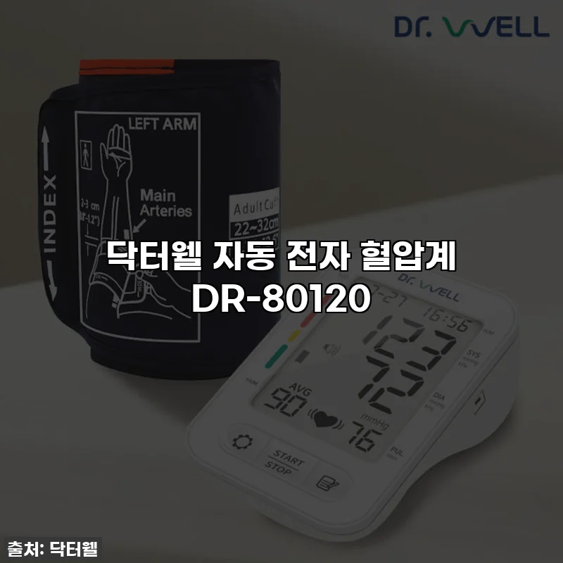 닥터웰 자동 전자 혈압계 DR-80120