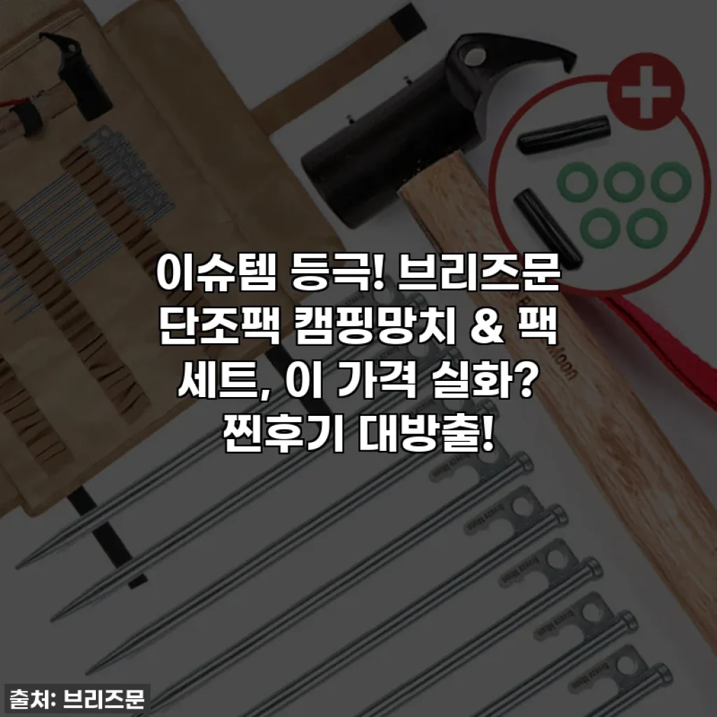 이슈템 등극! 브리즈문 단조팩 캠핑망치 & 팩 세트, 이 가격 실화? 찐후기 대방출!