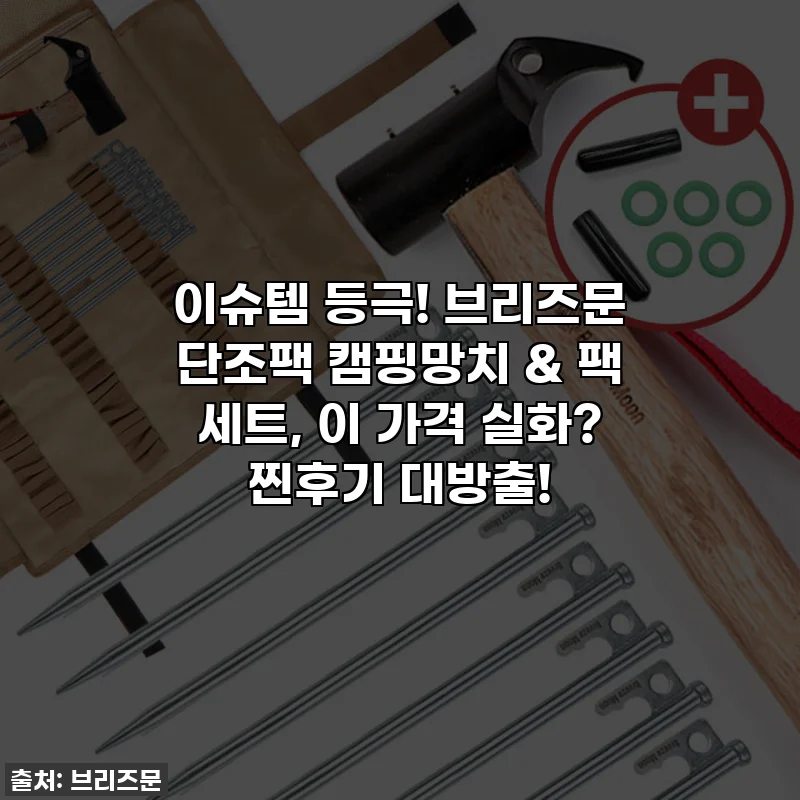 이슈템 등극! 브리즈문 단조팩 캠핑망치 & 팩 세트, 이 가격 실화? 찐후기 대방출!