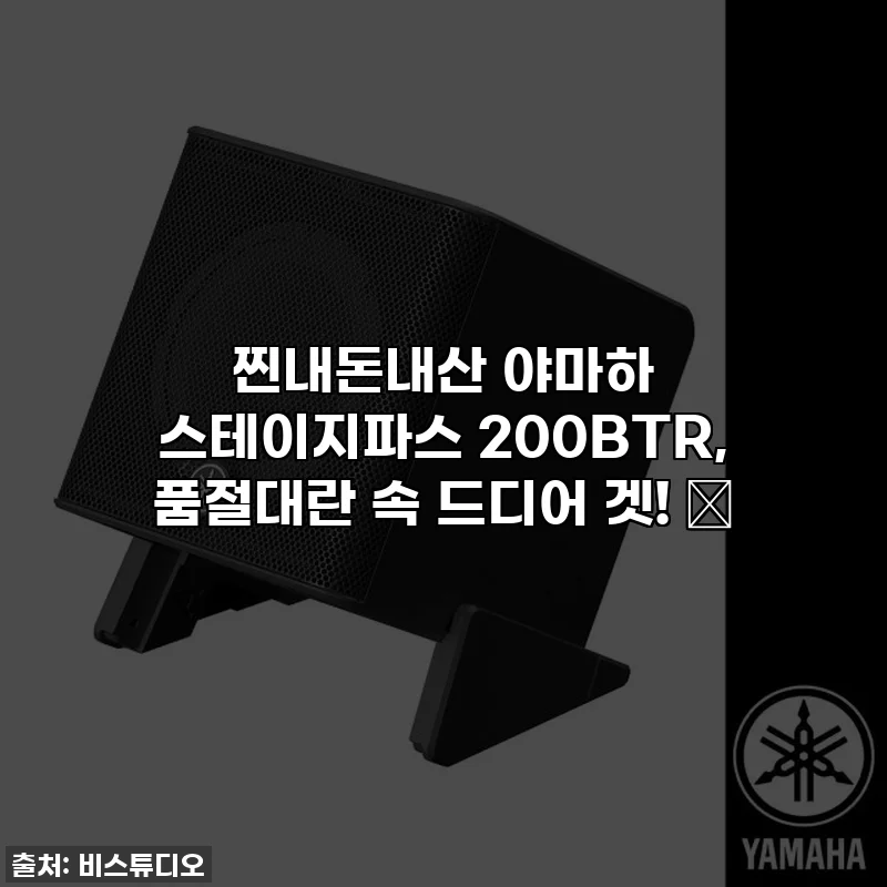 찐내돈내산 야마하 스테이지파스 200BTR, 품절대란 속 드디어 겟! 🤩