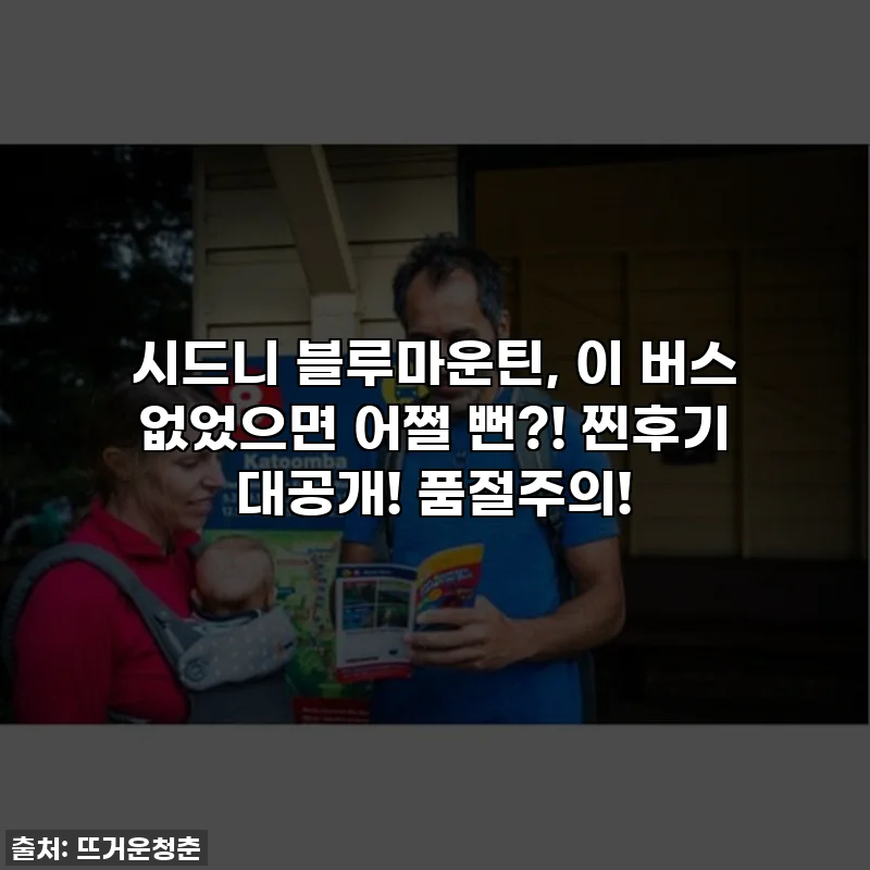 시드니 블루마운틴, 이 버스 없었으면 어쩔 뻔?! 찐후기 대공개! 품절주의!