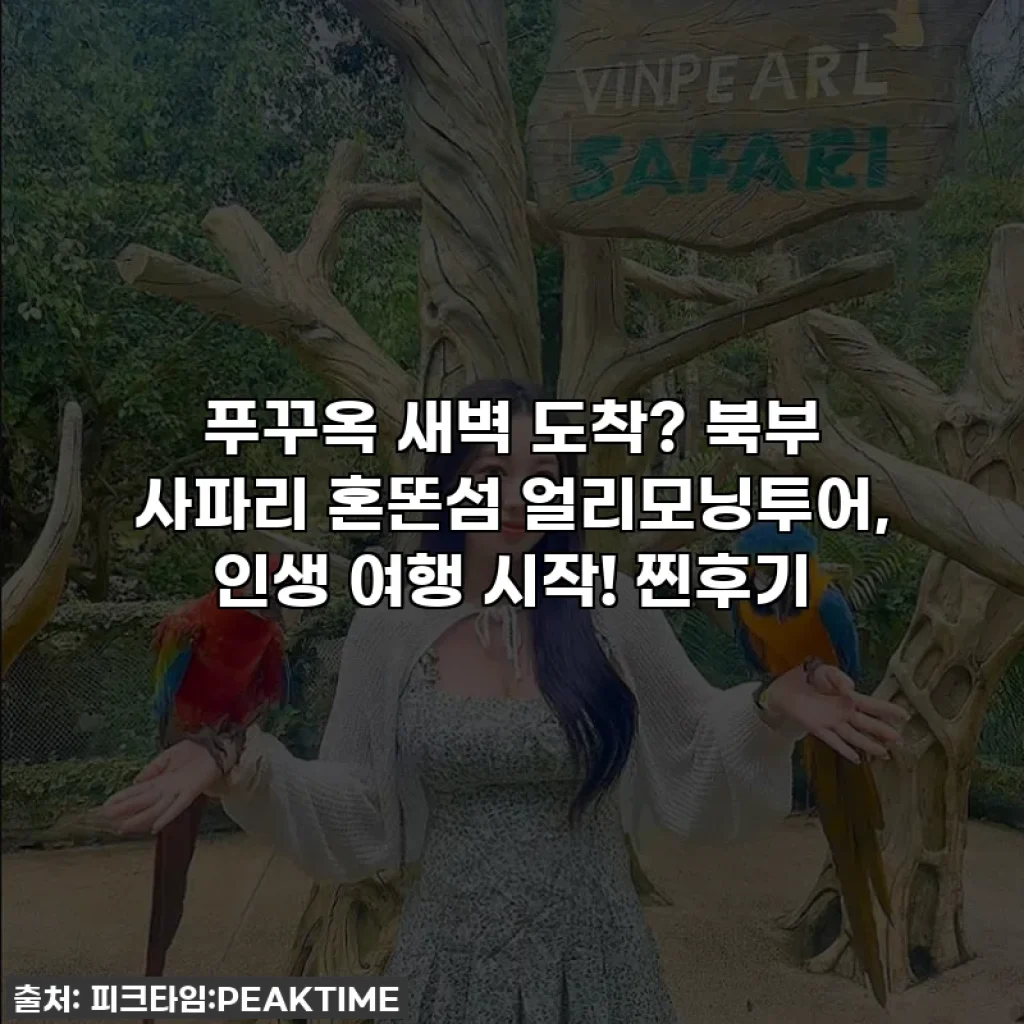 푸꾸옥 새벽 도착? 북부 사파리 혼똔섬 얼리모닝투어, 인생 여행 시작! 찐후기