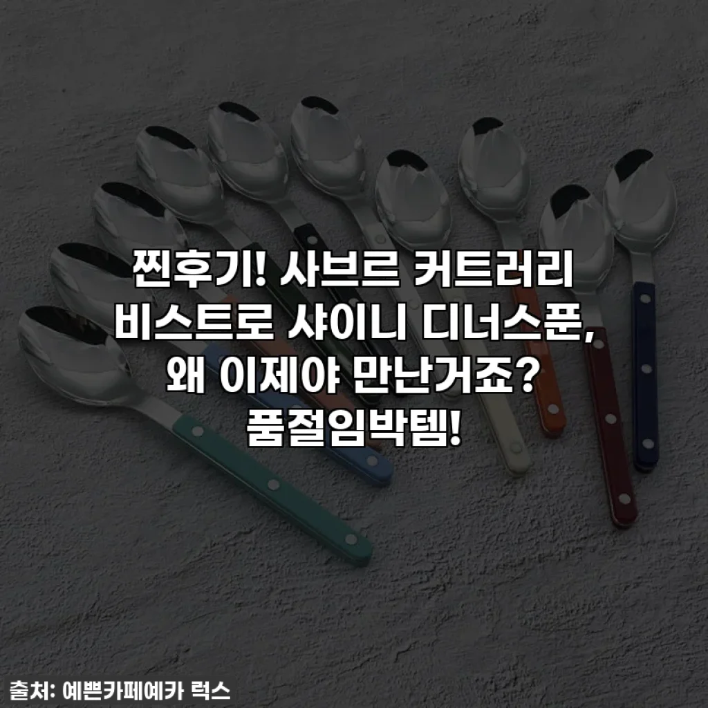 찐후기! 사브르 커트러리 비스트로 샤이니 디너스푼, 왜 이제야 만난거죠? 품절임박템!