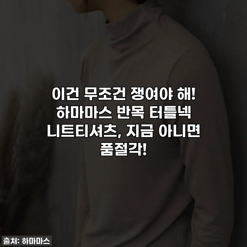 이건 무조건 쟁여야 해! 하마마스 반목 터틀넥 니트티셔츠, 지금 아니면 품절각!