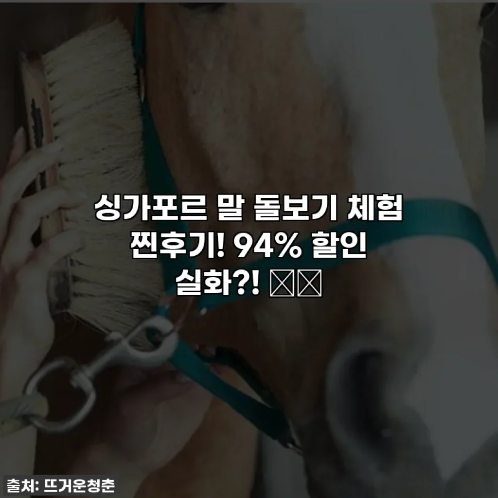 싱가포르 말 돌보기 체험 찐후기! 94% 할인 실화?! 🐴✨