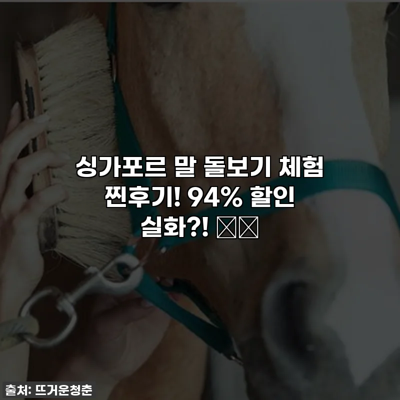 싱가포르 말 돌보기 체험 찐후기! 94% 할인 실화?! 🐴✨