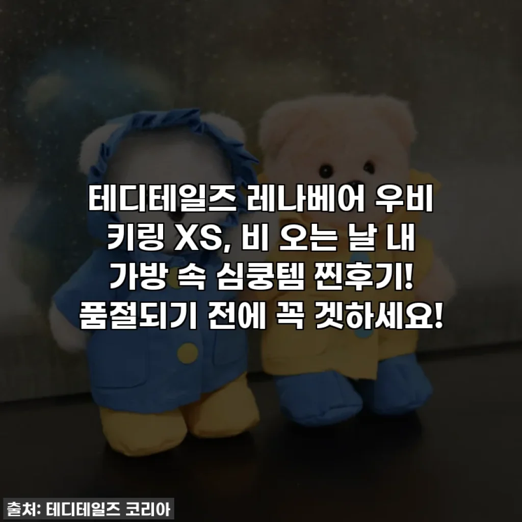 테디테일즈 레나베어 우비 키링 XS, 비 오는 날 내 가방 속 심쿵템 찐후기! 품절되기 전에 꼭 겟하세요!