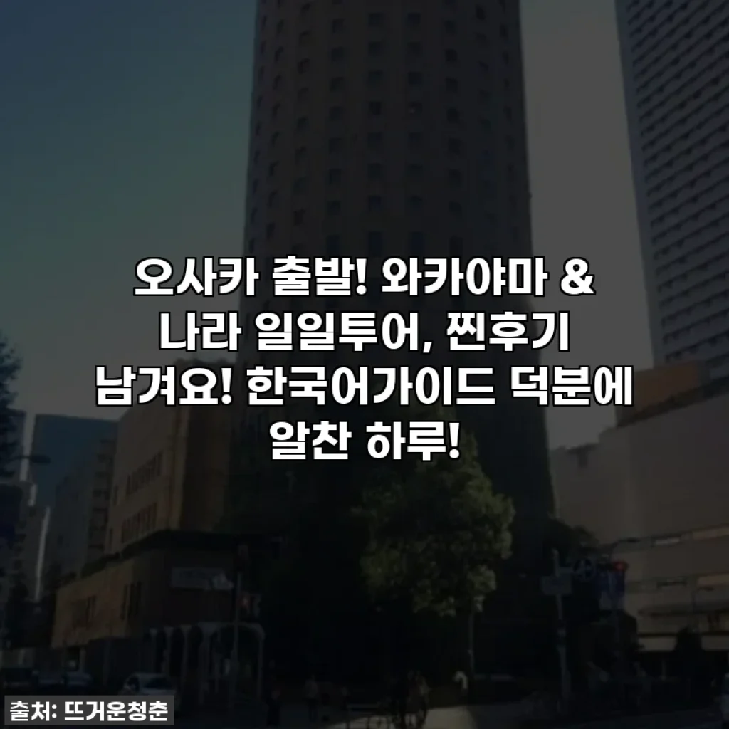 오사카 출발! 와카야마 & 나라 일일투어, 찐후기 남겨요! 한국어가이드 덕분에 알찬 하루!