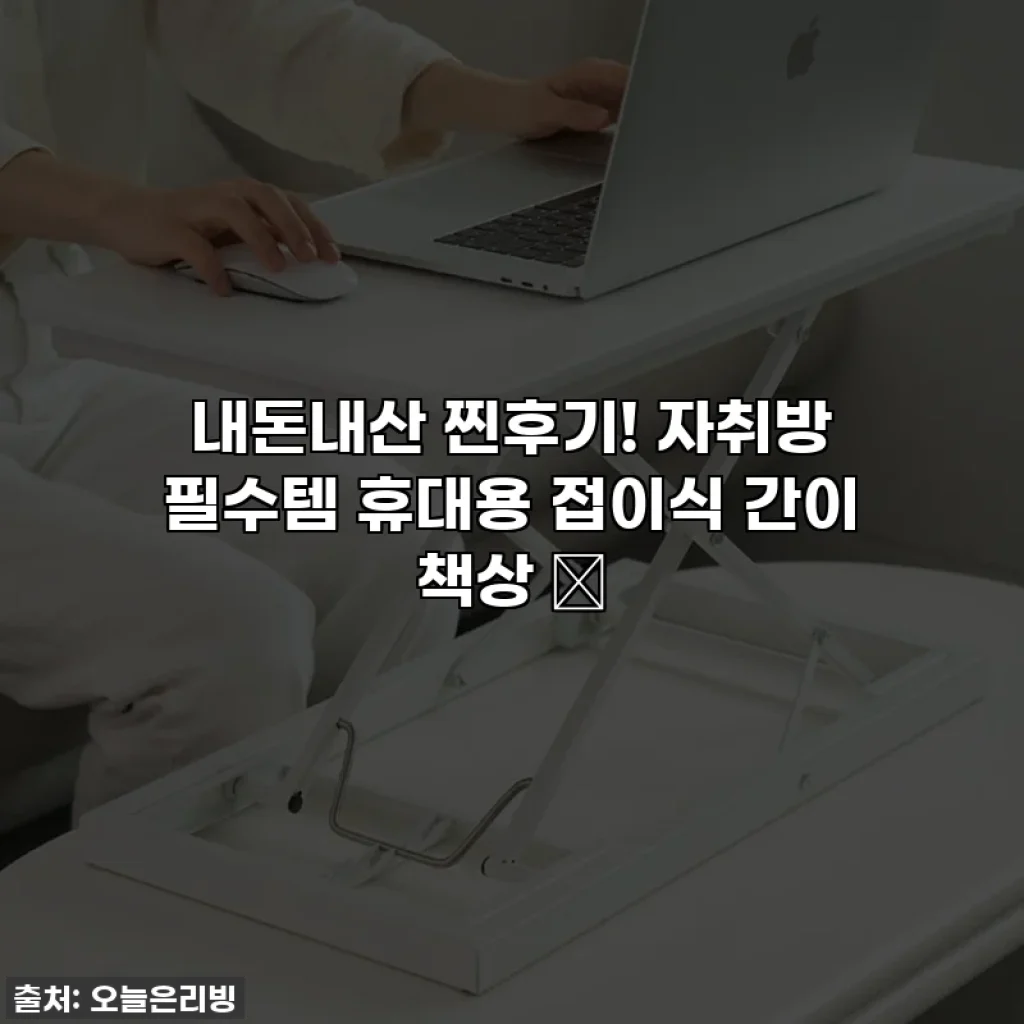 내돈내산 찐후기! 자취방 필수템 휴대용 접이식 간이 책상 ✨