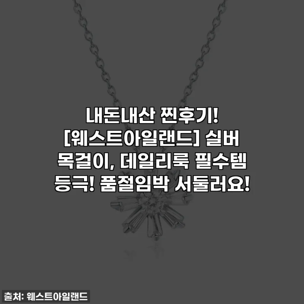 내돈내산 찐후기! [웨스트아일랜드] 실버 목걸이, 데일리룩 필수템 등극! 품절임박 서둘러요!