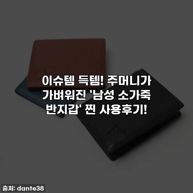이슈템 득템! 주머니가 가벼워진 '남성 소가죽 반지갑' 찐 사용후기!