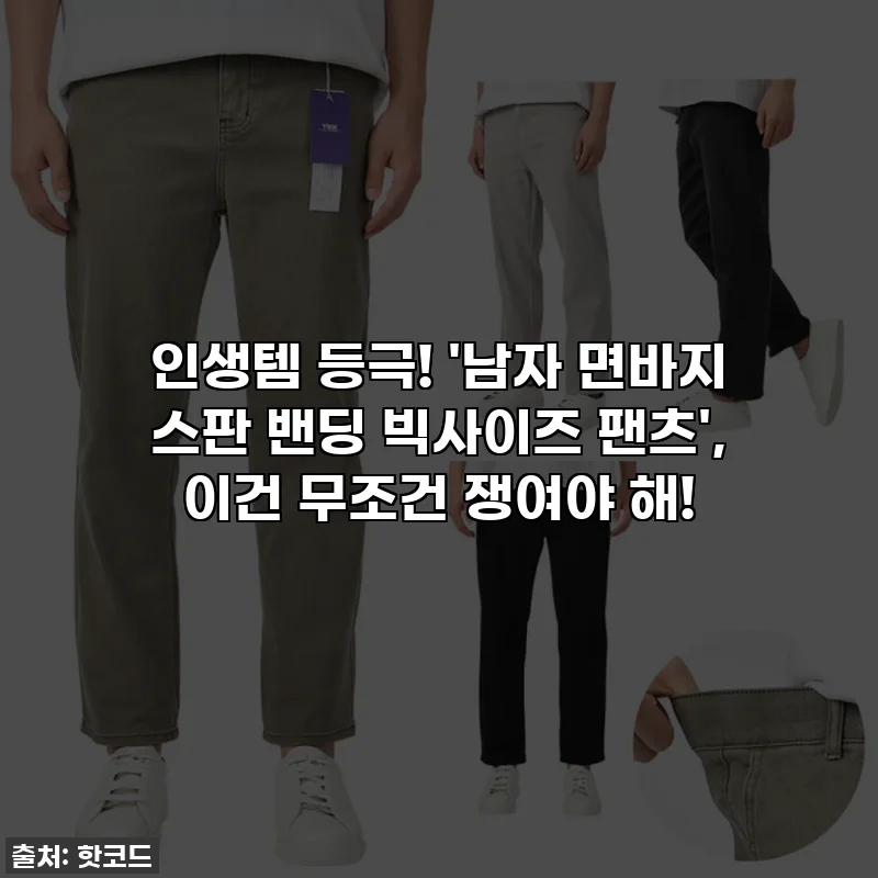 인생템 등극! '남자 면바지 스판 밴딩 빅사이즈 팬츠', 이건 무조건 쟁여야 해!