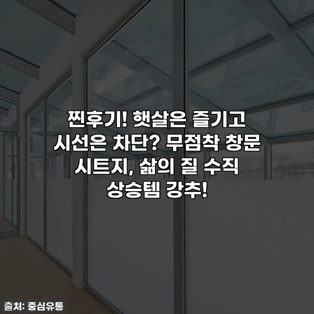 찐후기! 햇살은 즐기고 시선은 차단? 무점착 창문 시트지, 삶의 질 수직 상승템 강추!