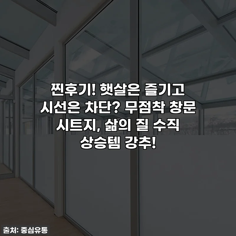 찐후기! 햇살은 즐기고 시선은 차단? 무점착 창문 시트지, 삶의 질 수직 상승템 강추!