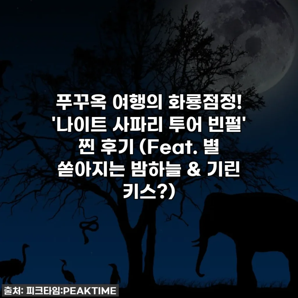 푸꾸옥 여행의 화룡점정! '나이트 사파리 투어 빈펄' 찐 후기 (Feat. 별 쏟아지는 밤하늘 & 기린 키스?)