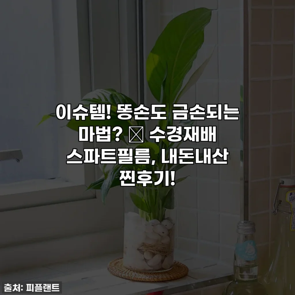 이슈템! 똥손도 금손되는 마법? ✨ 수경재배 스파트필름, 내돈내산 찐후기!