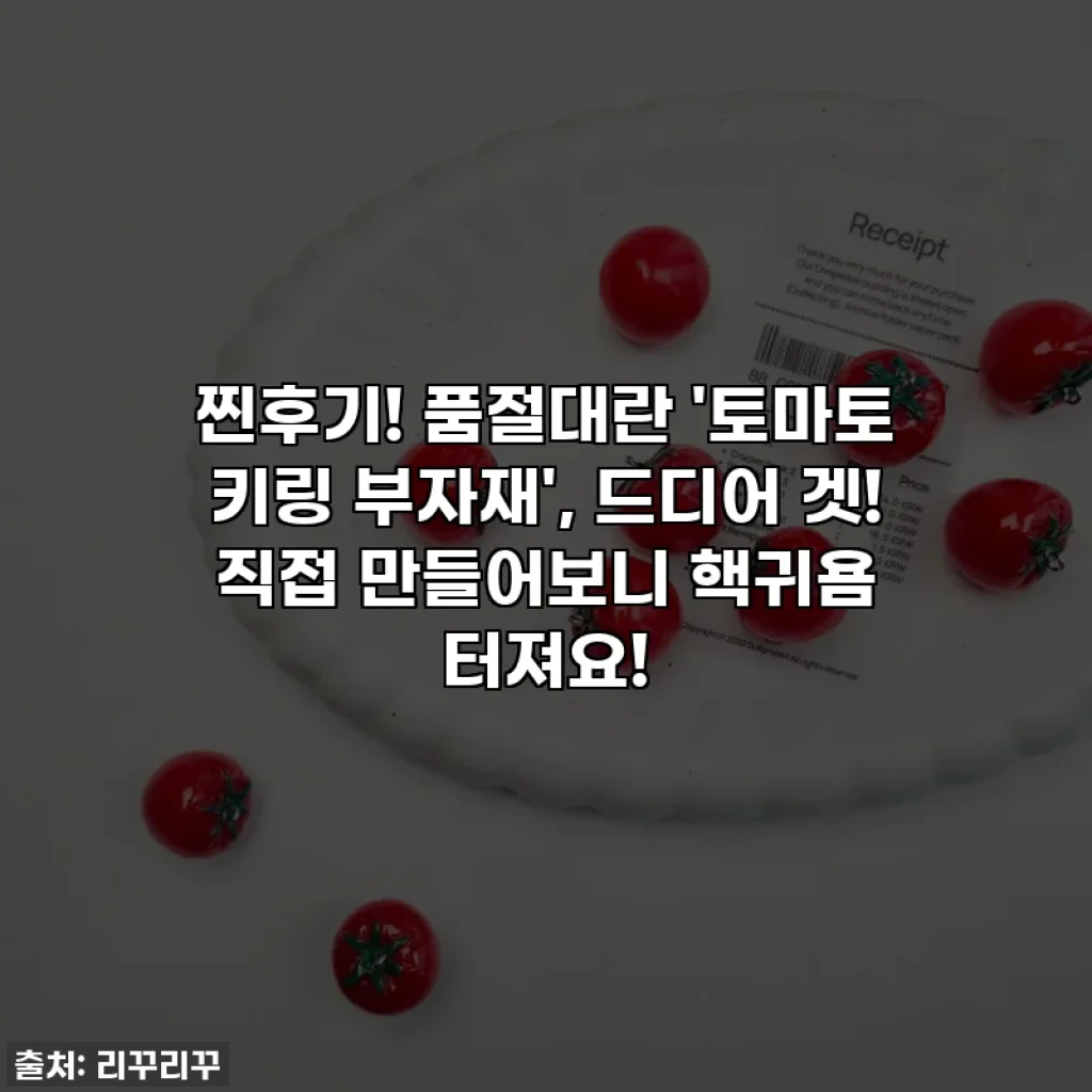 찐후기! 품절대란 '토마토 키링 부자재', 드디어 겟! 직접 만들어보니 핵귀욤 터져요!