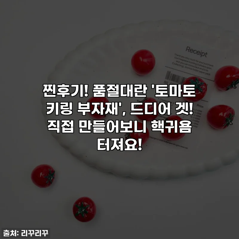 찐후기! 품절대란 '토마토 키링 부자재', 드디어 겟! 직접 만들어보니 핵귀욤 터져요!