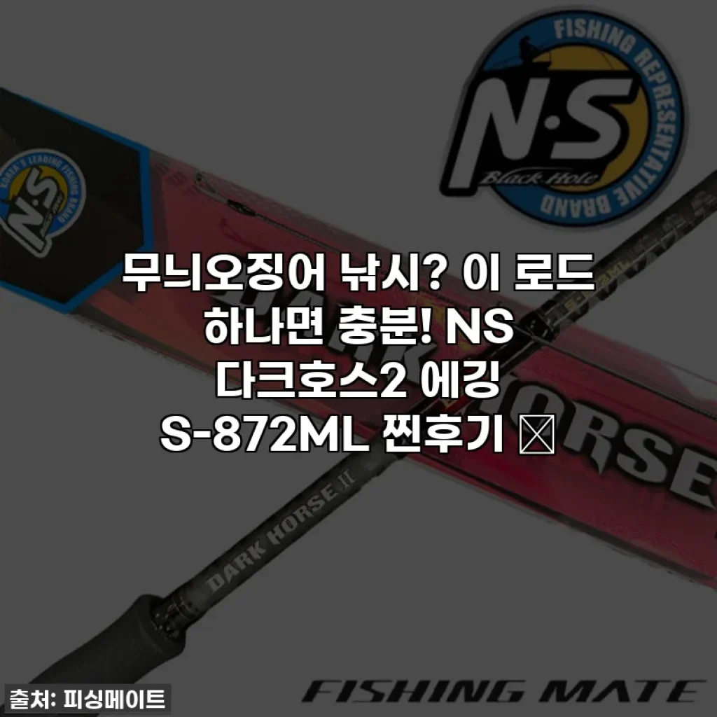 무늬오징어 낚시? 이 로드 하나면 충분! NS 다크호스2 에깅 S-872ML 찐후기 ✨