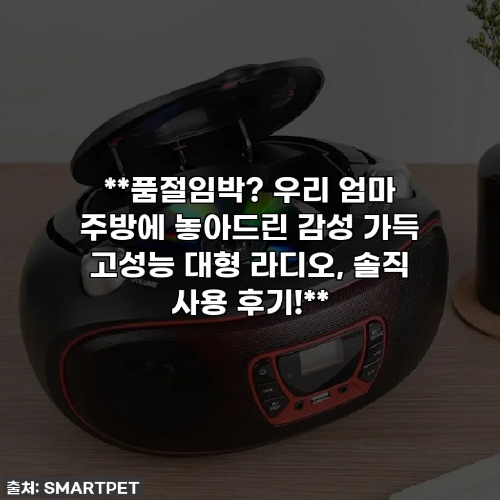 **품절임박? 우리 엄마 주방에 놓아드린 감성 가득 고성능 대형 라디오, 솔직 사용 후기!**