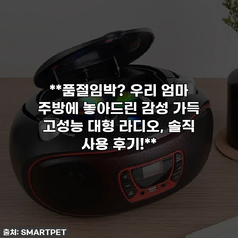 **품절임박? 우리 엄마 주방에 놓아드린 감성 가득 고성능 대형 라디오, 솔직 사용 후기!**