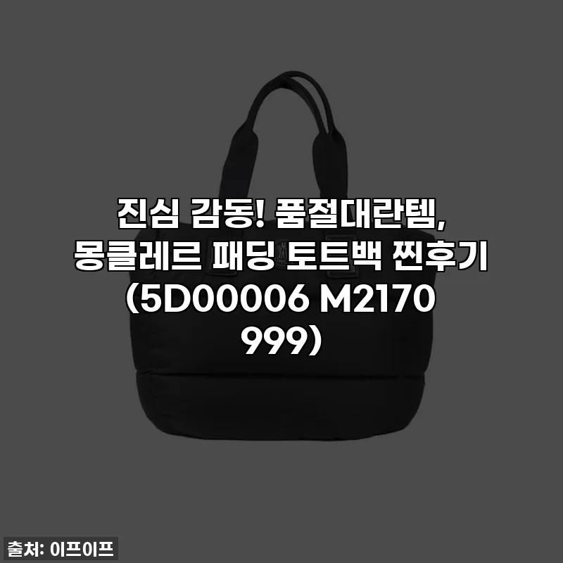 진심 감동! 품절대란템, 몽클레르 패딩 토트백 찐후기 (5D00006 M2170 999)