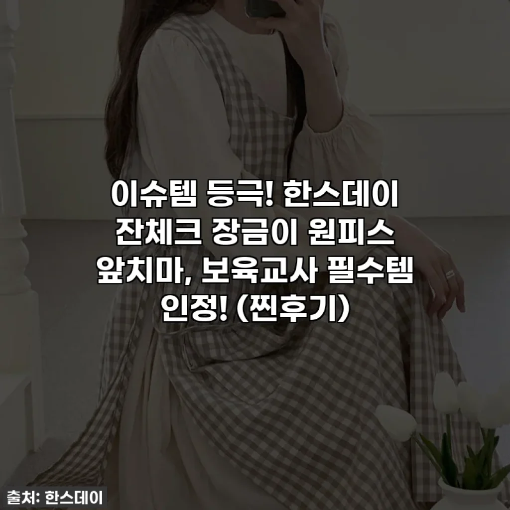 이슈템 등극! 한스데이 잔체크 장금이 원피스 앞치마, 보육교사 필수템 인정! (찐후기)